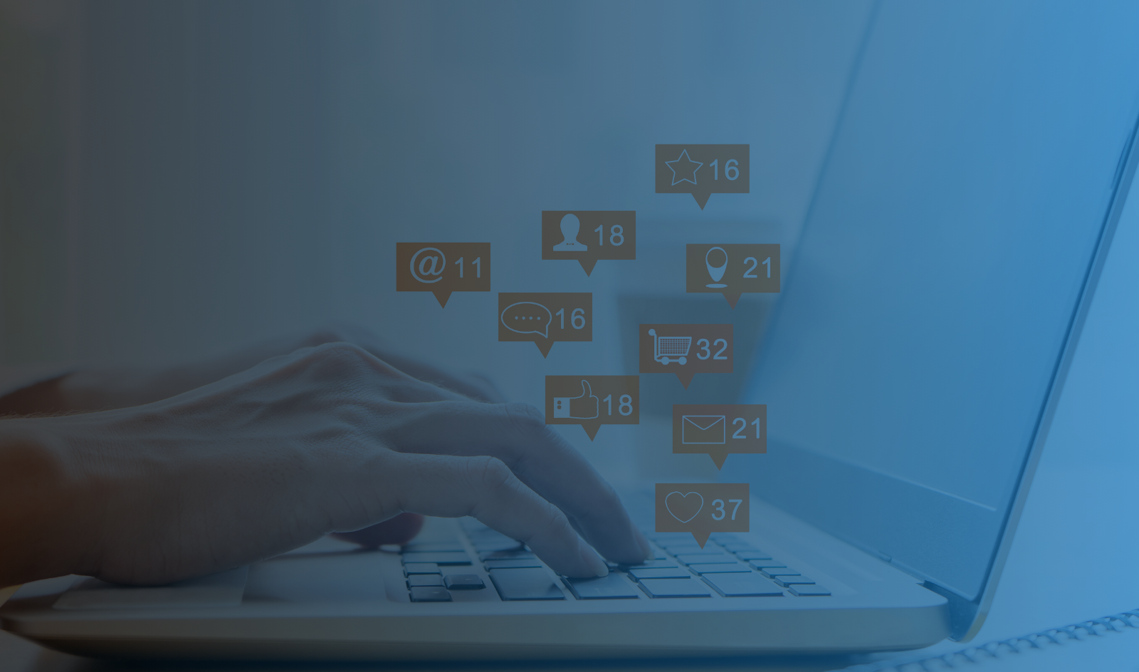 Comunidad Educativa y Dinamización